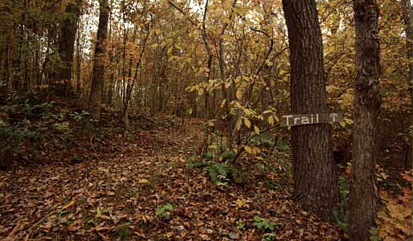 Secluded Cabin Rental in the Smoky Mountains, Tennessee
