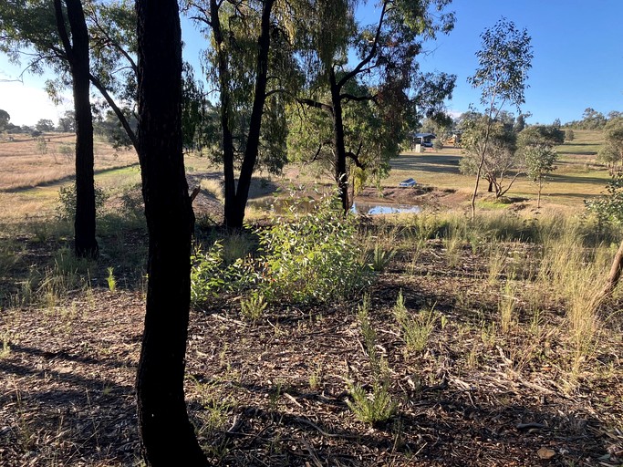 Tiny Houses (Australia, Parkes, New South Wales)