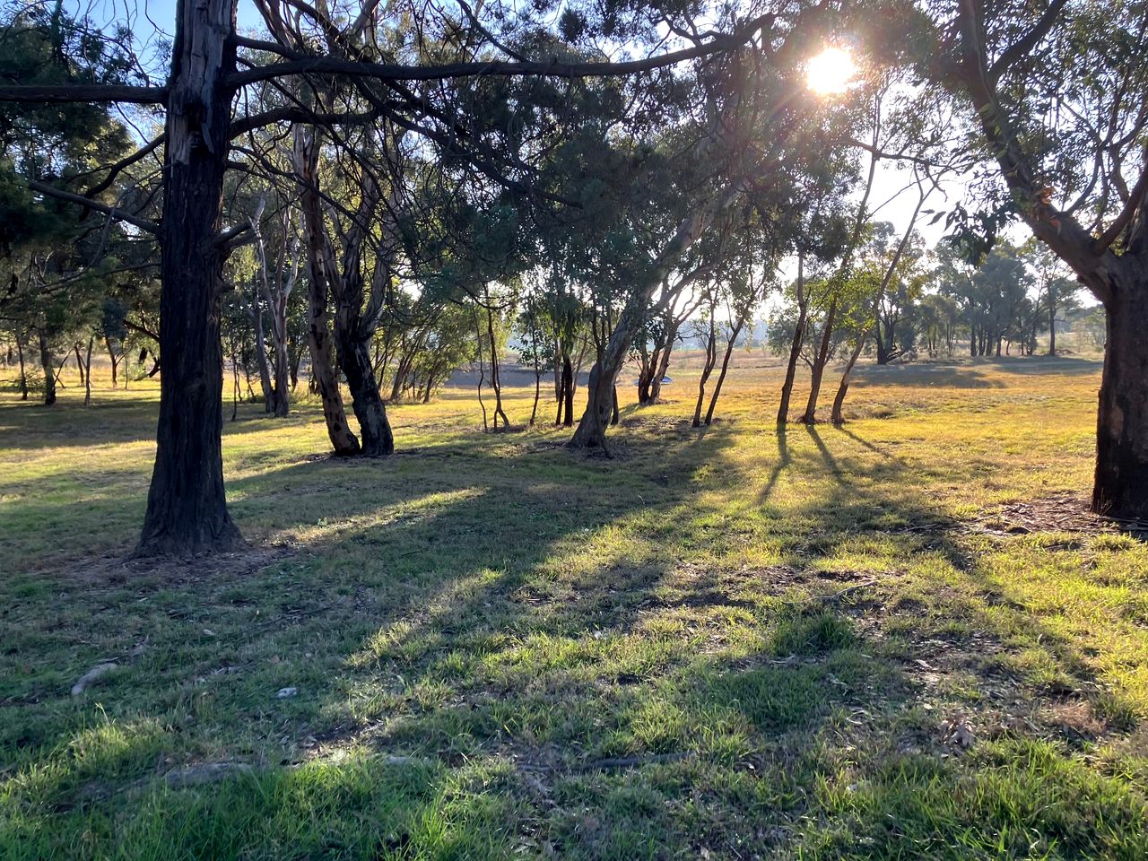 Welcoming Tiny House with Outdoor Pool in New South Wales