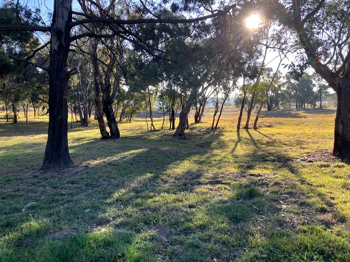 Tiny Houses (Australia, Parkes, New South Wales)