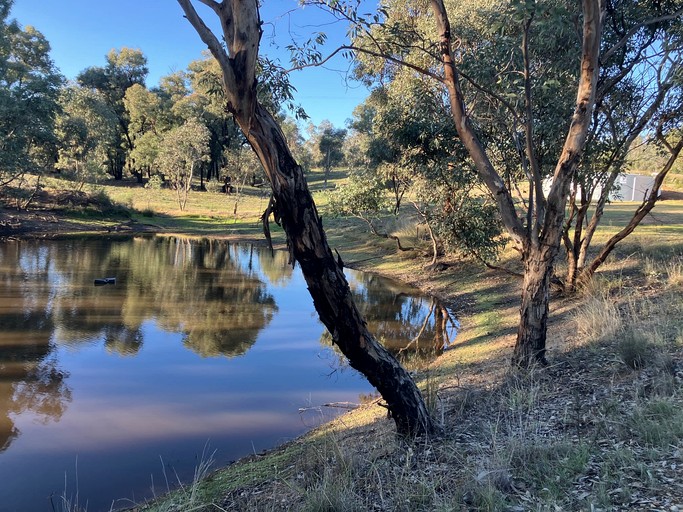 Tiny Houses (Australia, Parkes, New South Wales)
