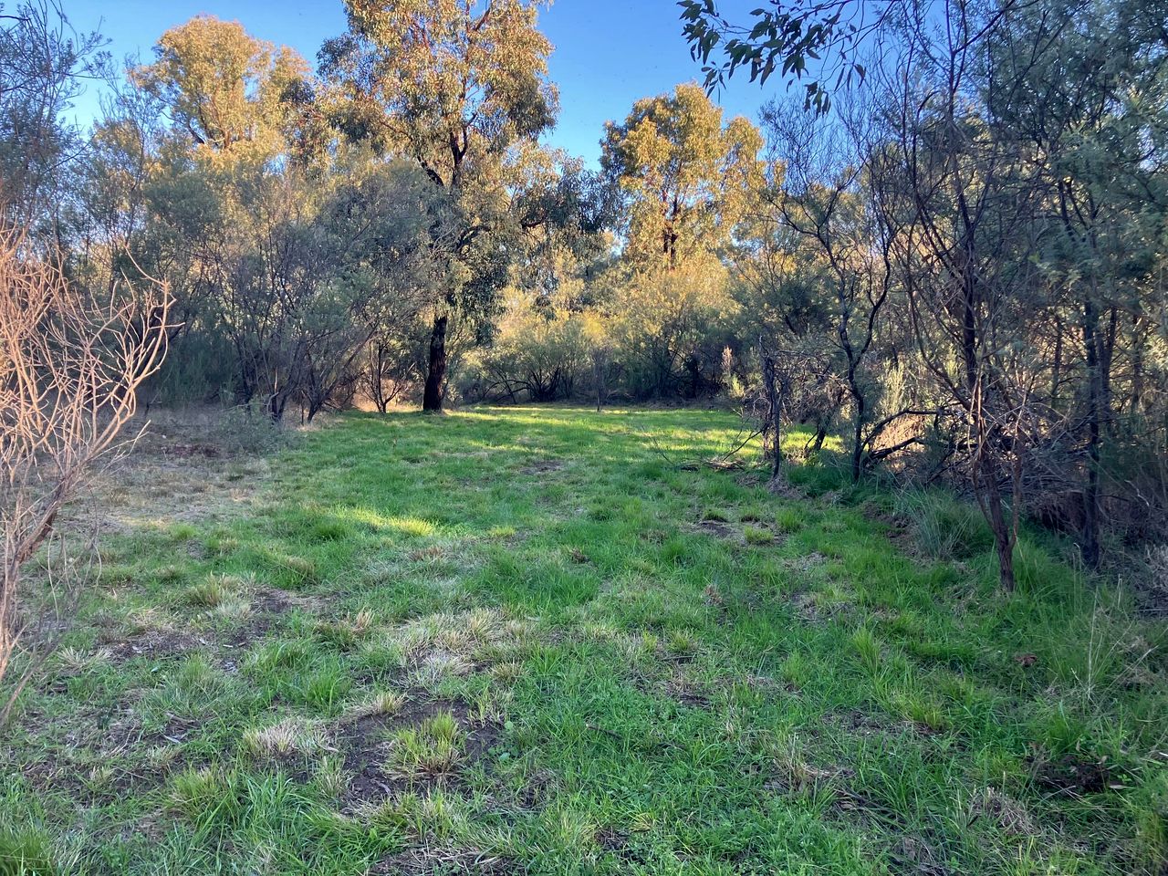 Welcoming Tiny House with Outdoor Pool in New South Wales