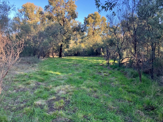 Tiny Houses (Australia, Parkes, New South Wales)