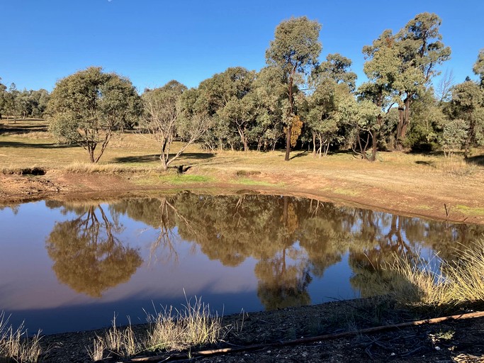 Tiny Houses (Australia, Parkes, New South Wales)