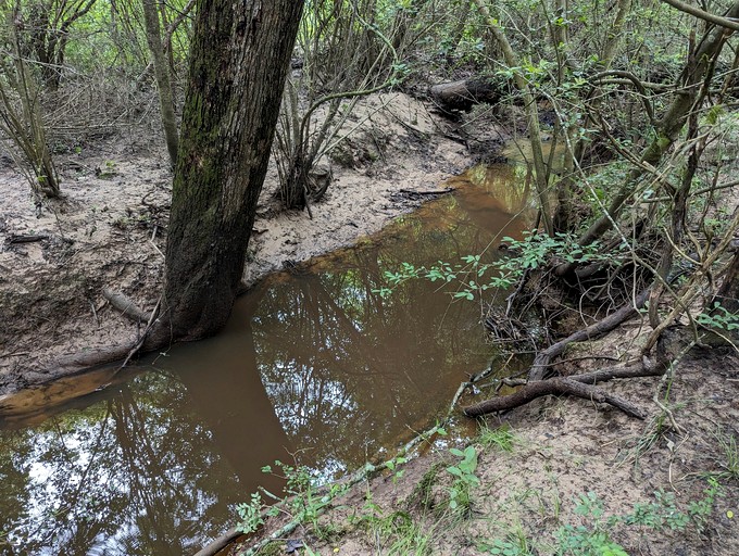 Airstreams (United States of America, Midway, Texas)