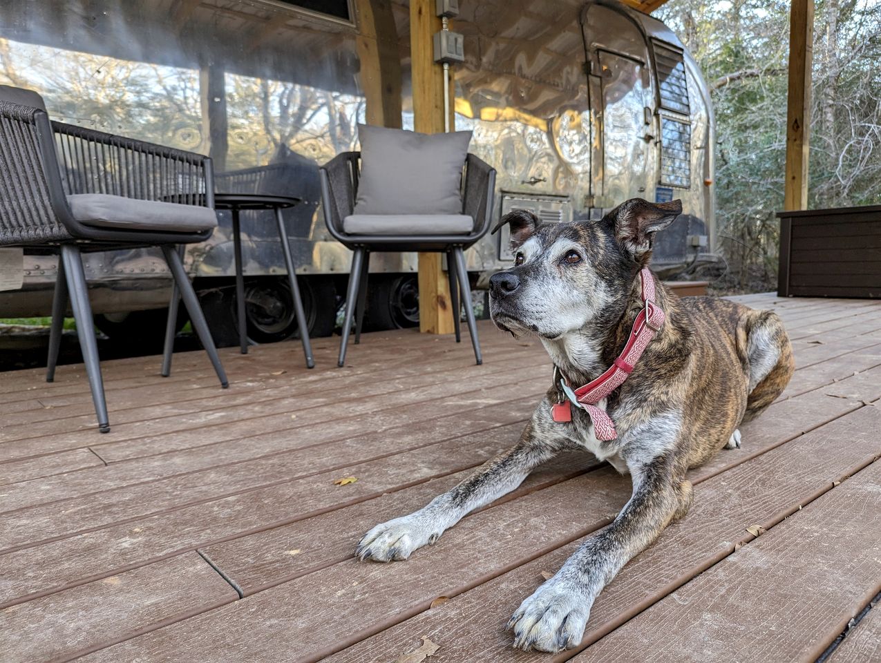 Well-Deserved Nature Getaways in this Fully-Equipped Airstream in Midway, Texas