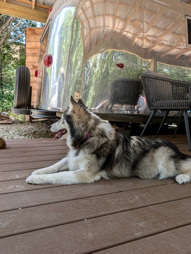 Airstreams (United States of America, Midway, Texas)