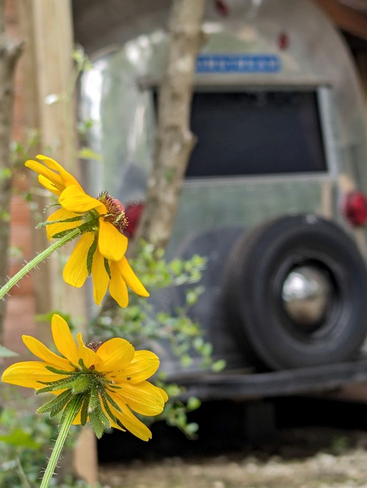 Well-Deserved Nature Getaways in this Fully-Equipped Airstream in Midway, Texas