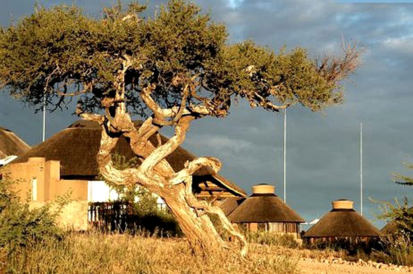 Wellness Retreat in Beautiful Thatch Cabanas, Namibia