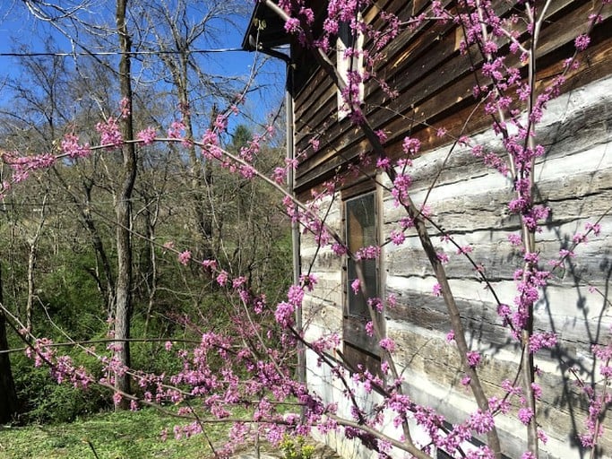 Nature Lodges (Townsend, Tennessee, United States)