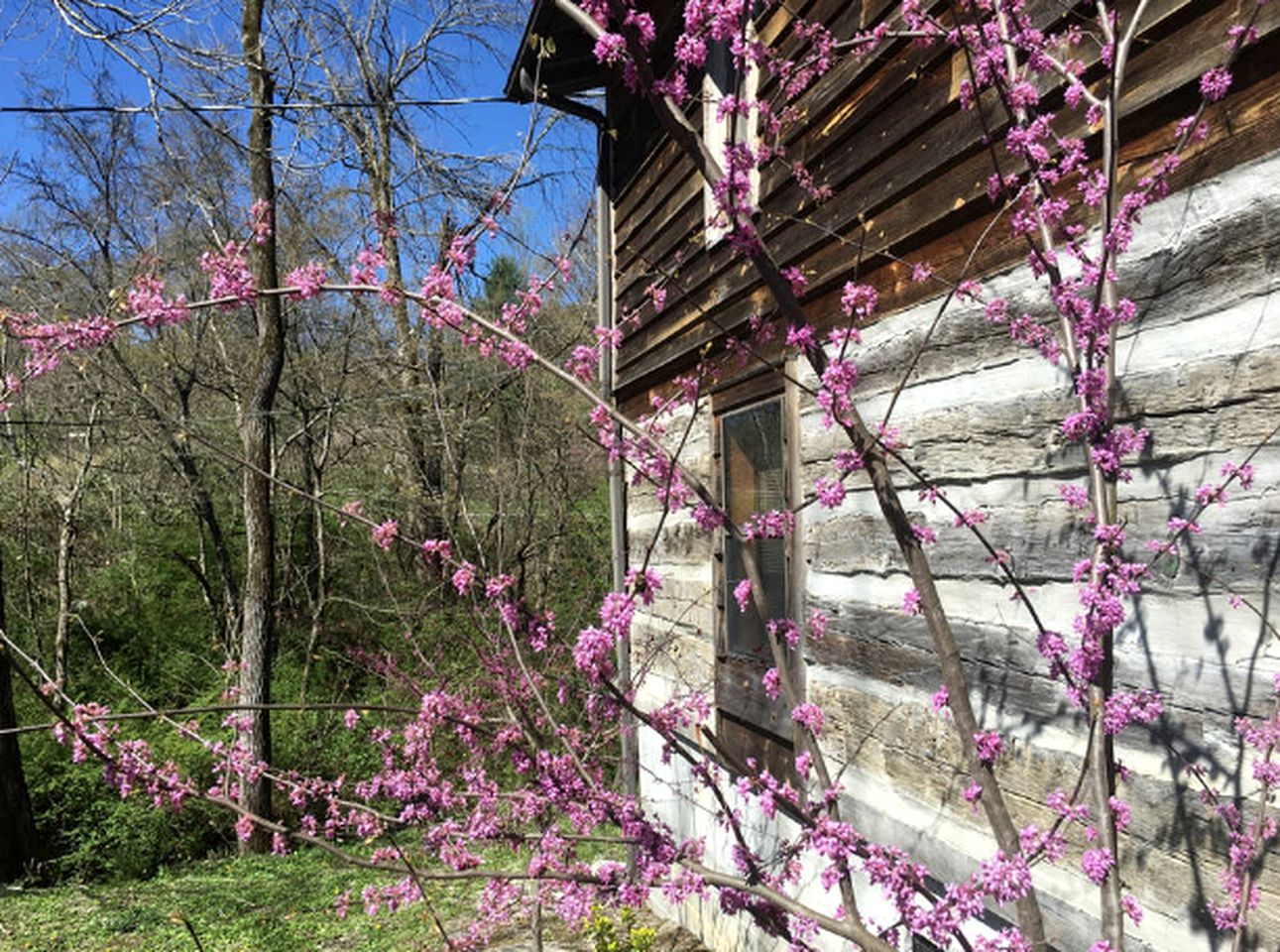 Fully-Furnished Suite Rental with Easy Access to the Great Smoky Mountains in Tennessee