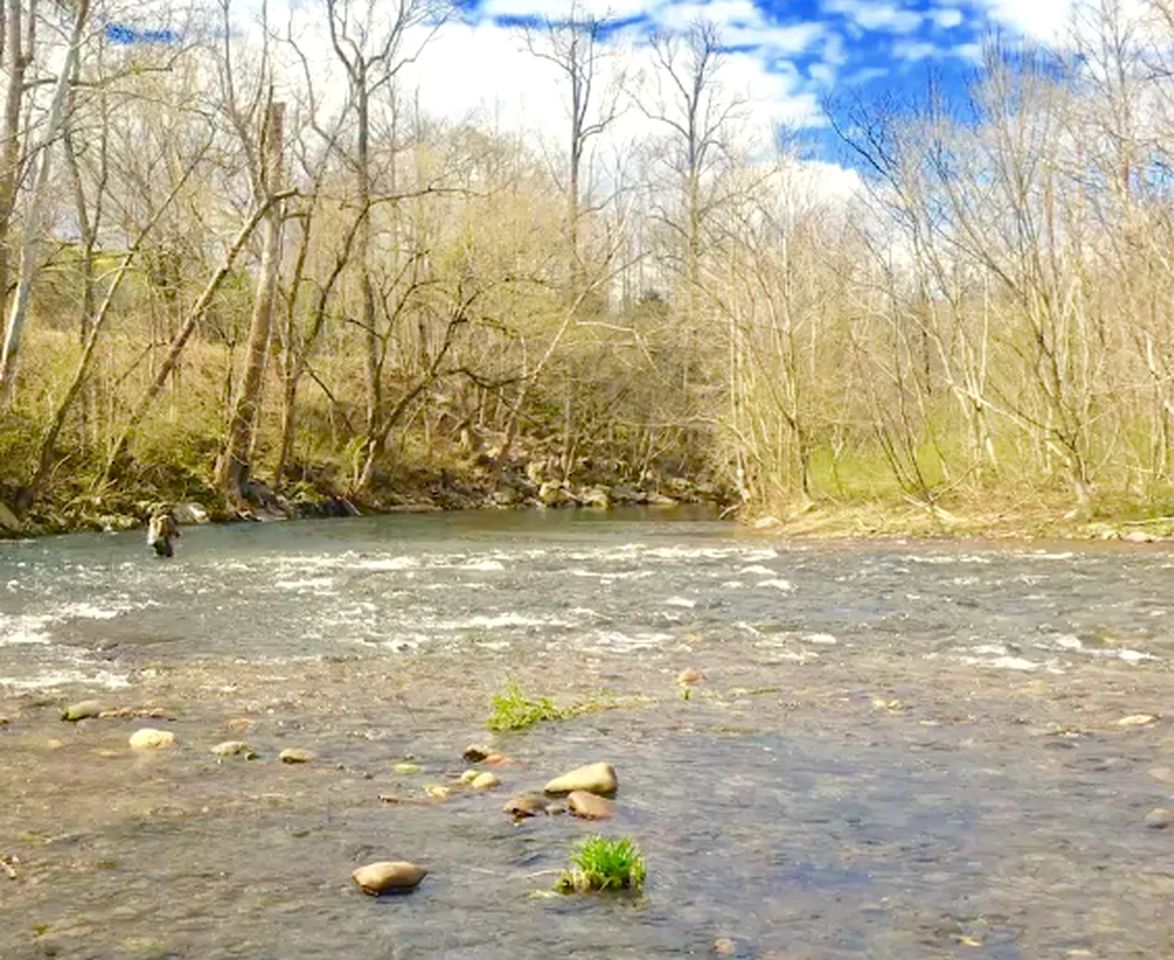 Romantic Suite Rental with Wi-Fi near the Mountains of Tremont, Tennessee