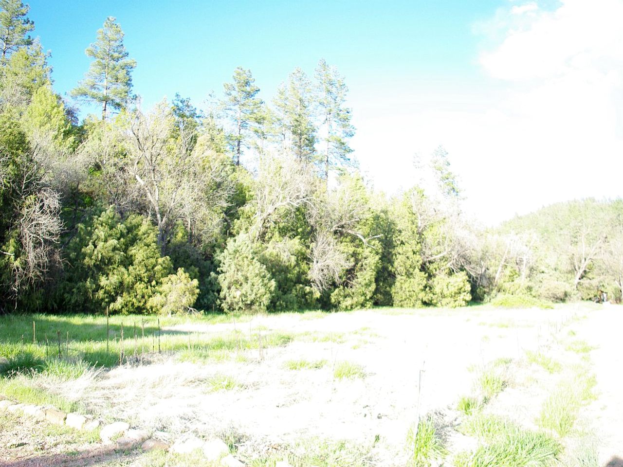 Secluded Family-Friendly Cabin with Outdoor Theme near Phoenix, Arizona