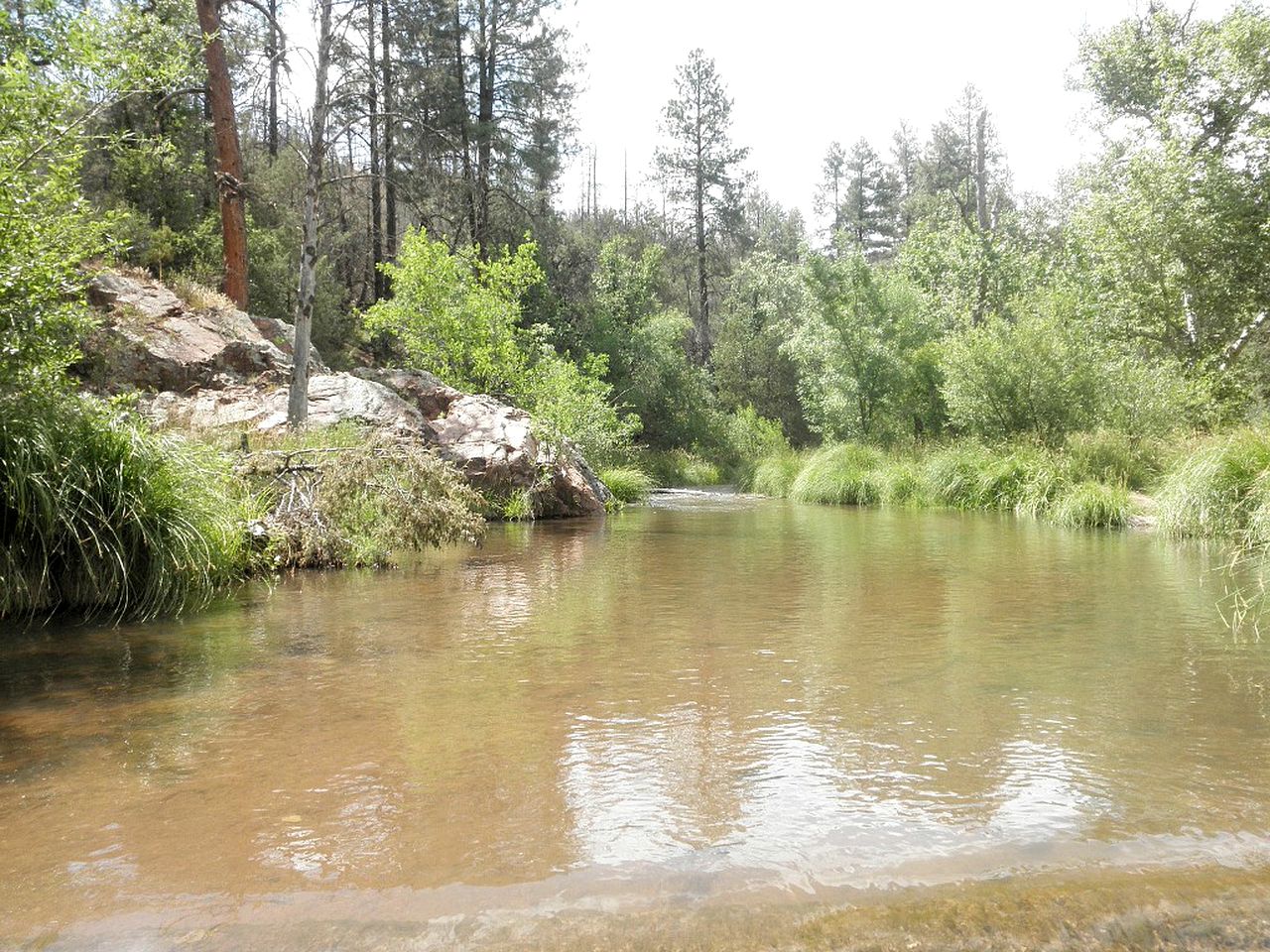 Secluded Family-Friendly Cabin with Outdoor Theme near Phoenix, Arizona