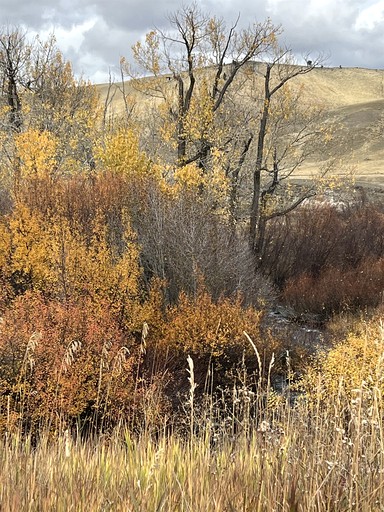 Vacation Rentals (United States of America, Cameron, Montana)