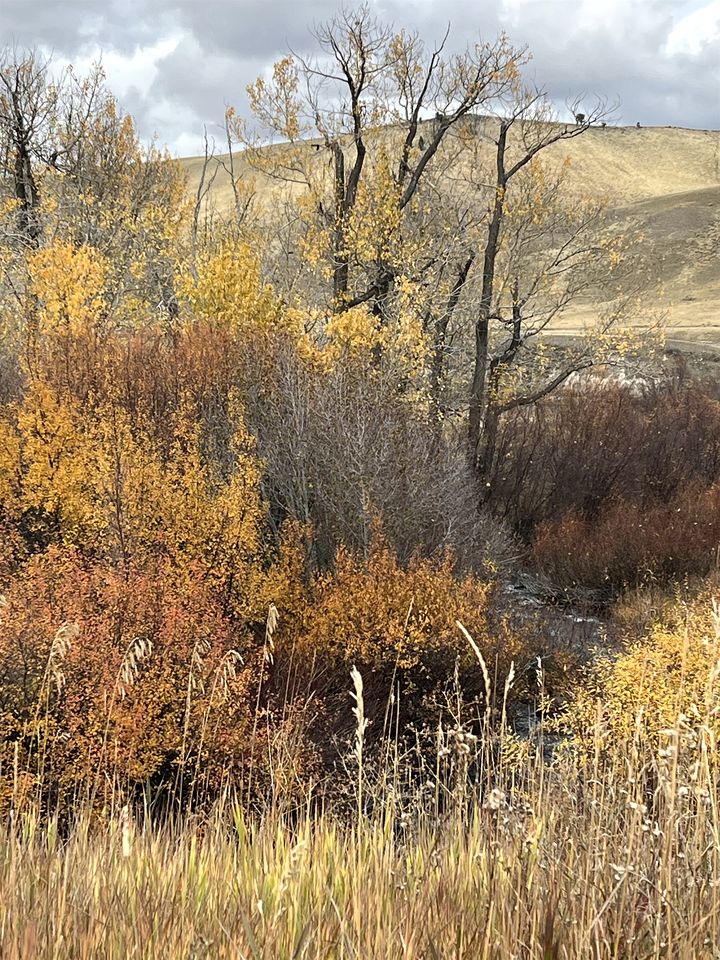 Scenic Creekside Lodge with Decks and Madison River Access near Yellowstone, Ennis Montana