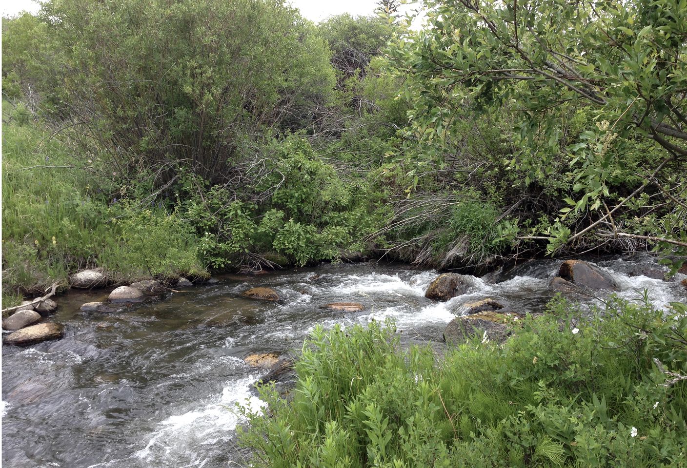 Scenic Creekside Lodge with Decks and Madison River Access near Yellowstone, Ennis Montana