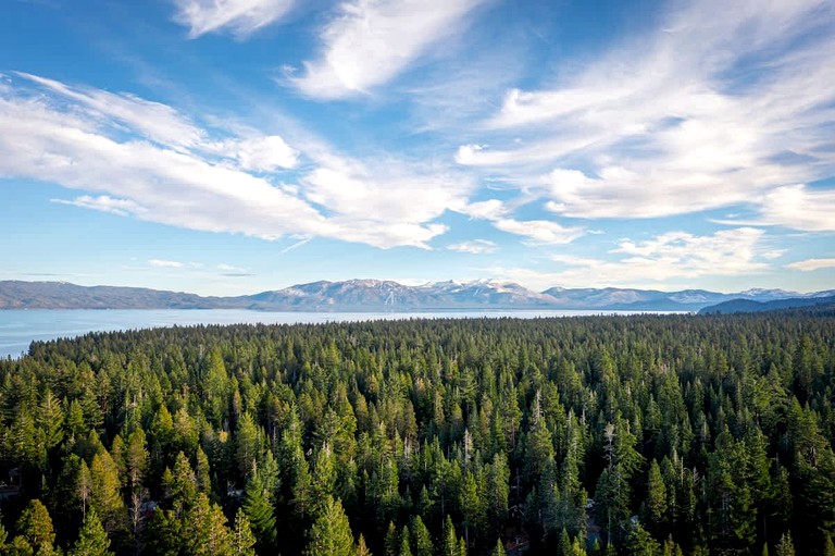 Cabins (United States of America, Tahoma, California)