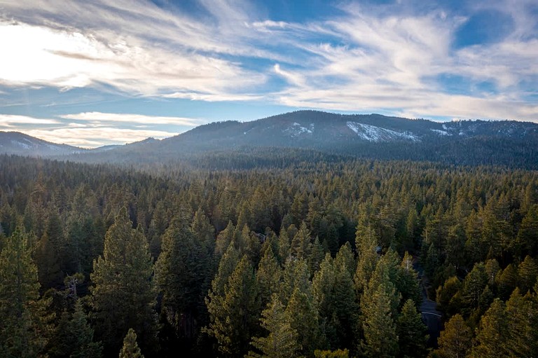 Cabins (United States of America, Tahoma, California)