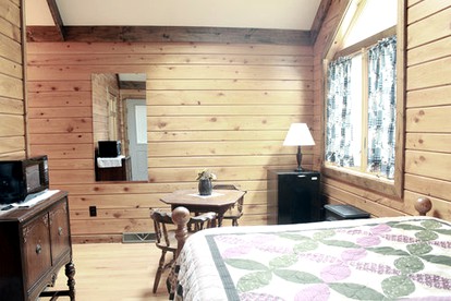 undefined photo 5