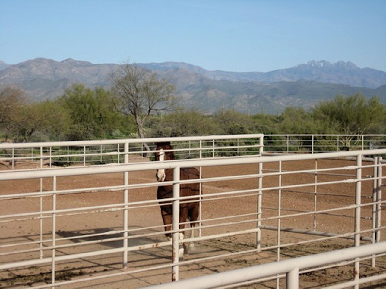 Western-Style Bunkhouse with Scenic, Desert Trails near Scottsdale, Arizona