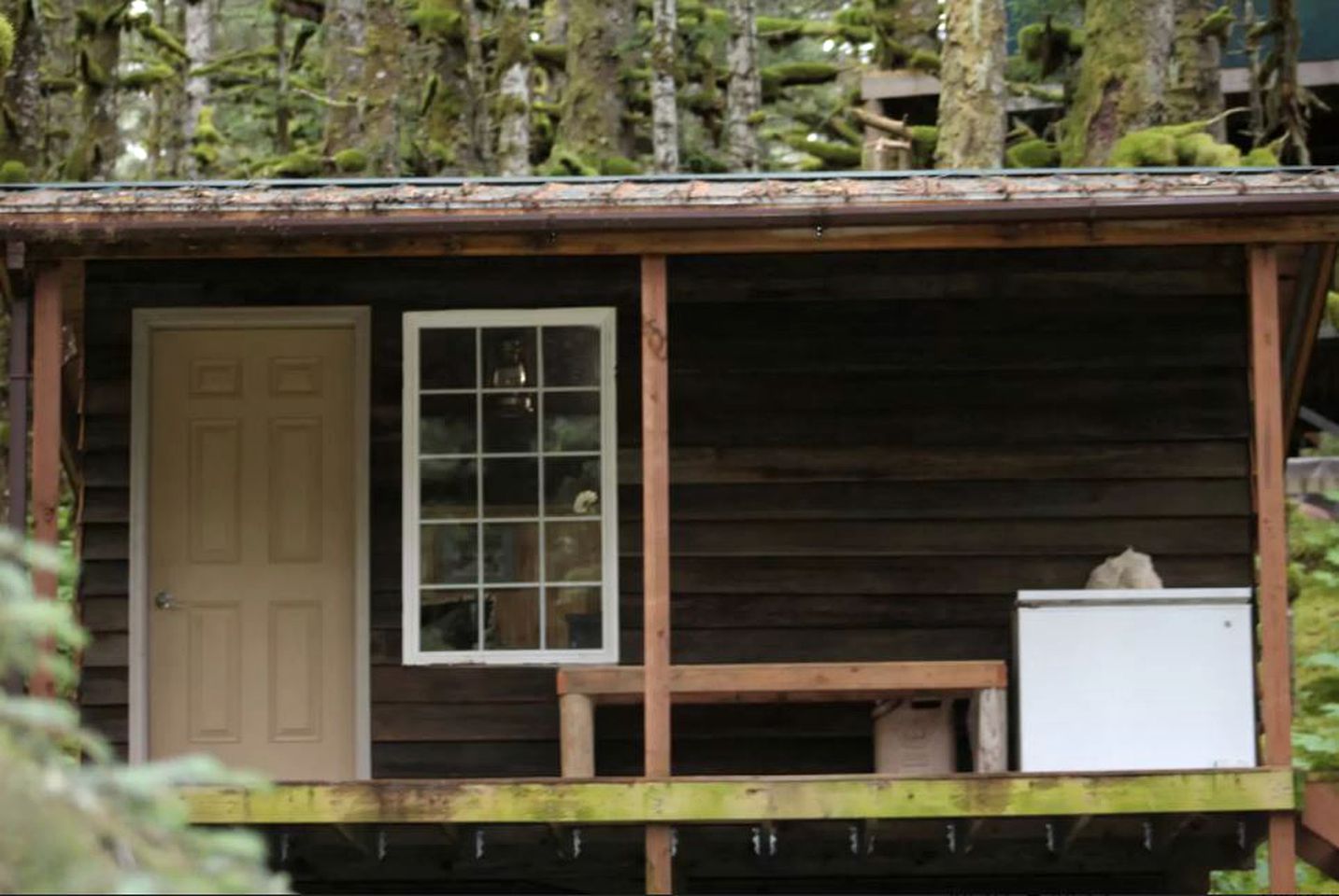 Rustic Cabin Rental for a Secluded Escape to Whale Island, Alaska