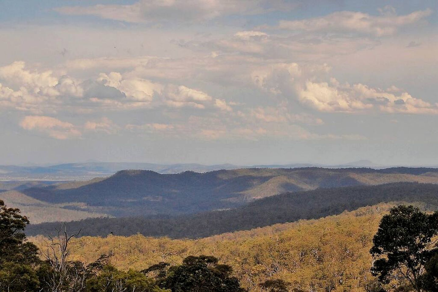 Wheelchair Accessible Cabin in Ravensbourne, Queensland