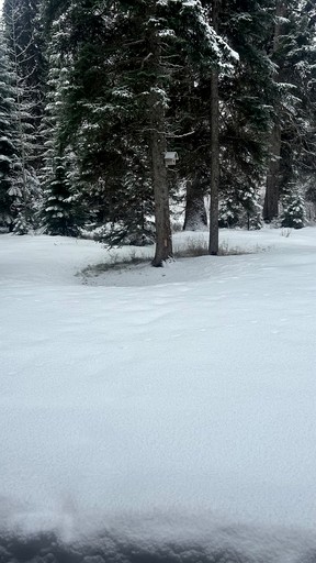 Vacation Rentals (United States of America, McCall, Idaho)