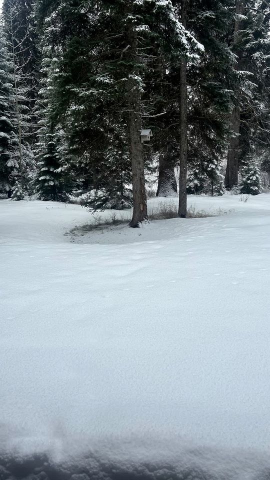 Charming Cabin Escape with Hot Tub & Wraparound Porch in McCall, Idaho