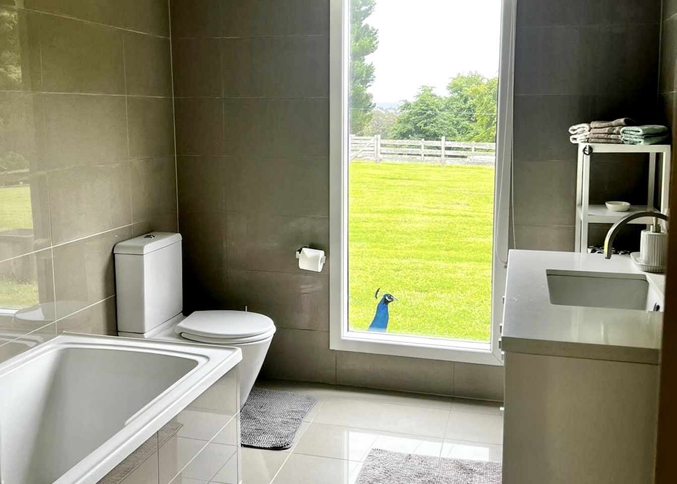 Whispering Waters: Family-Friendly Cottage Rental in Tanybryn with Nearby Waterfalls