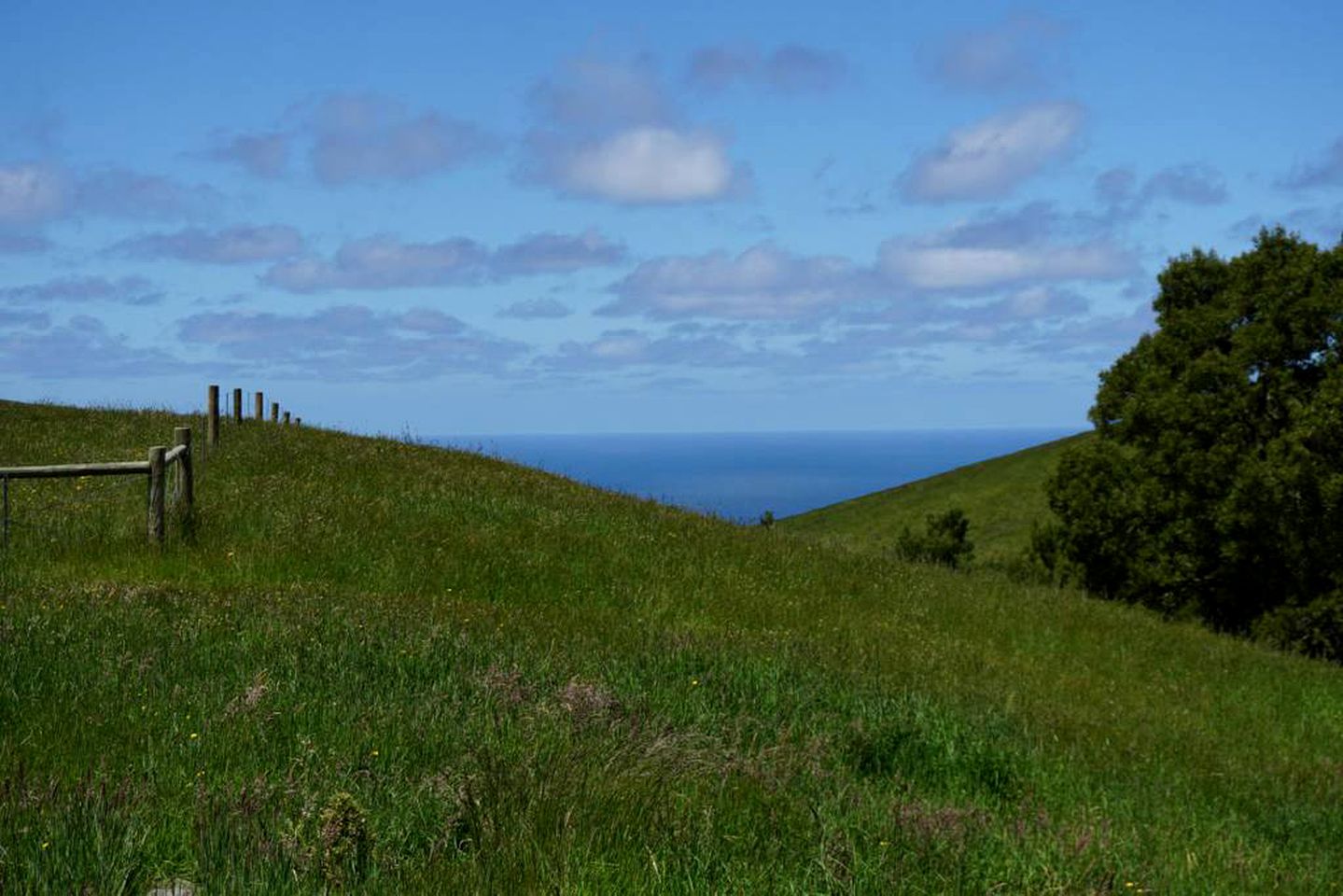 Charming Farmstay Cottage in the Hills of Wongarra near Apollo Bay in Victoria