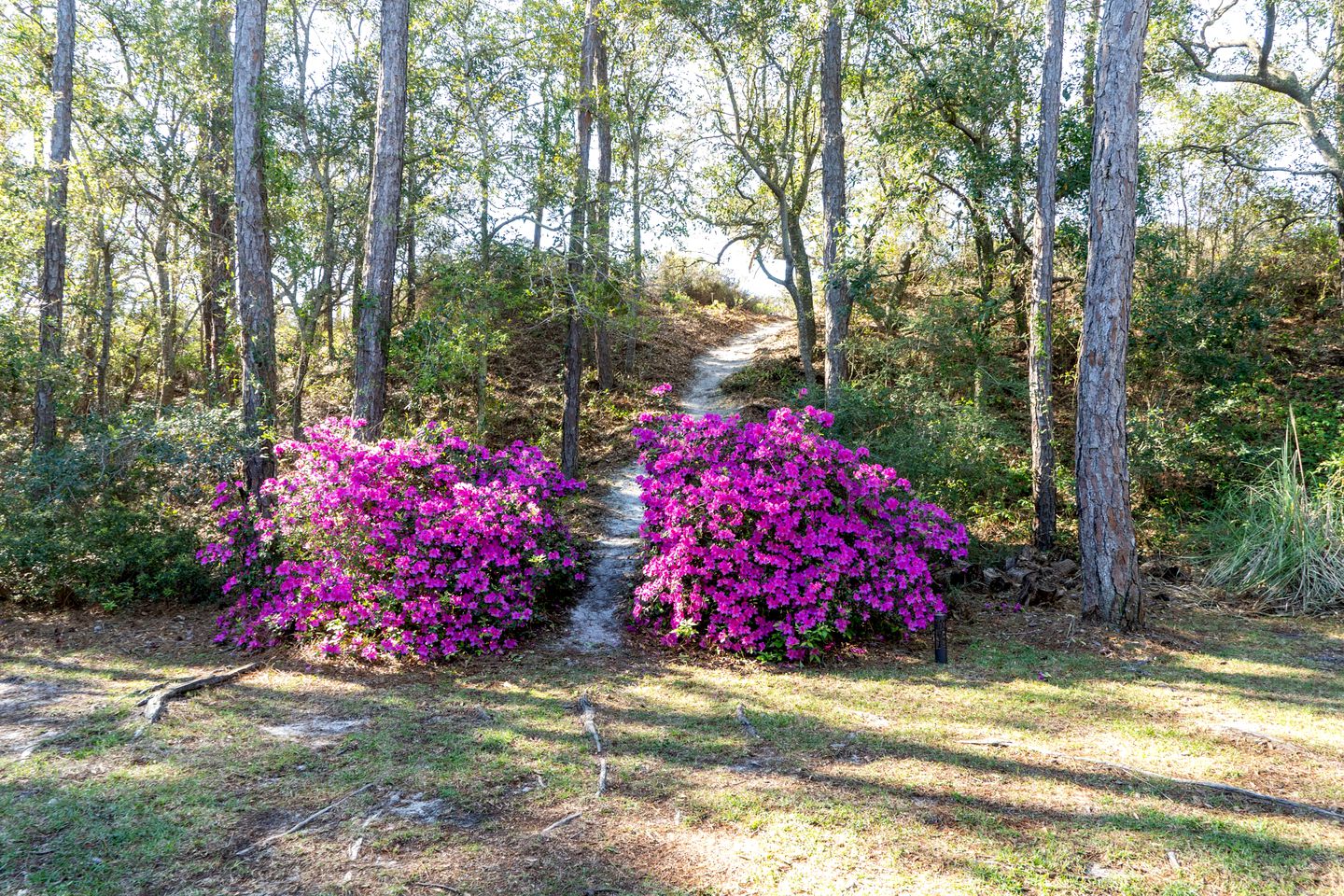 Stylish Coastal Retreat with Luxury Amenities near the Beaches and Golf Course on Dauphin Island, Alabama