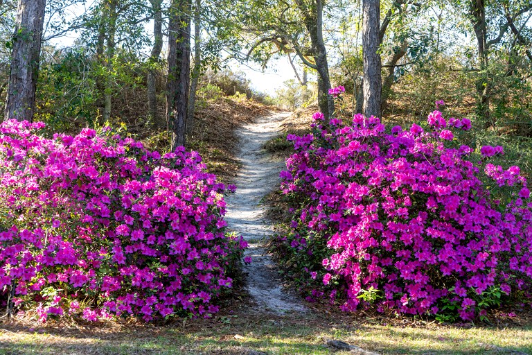 Floating Homes (United States of America, Dauphin Island, Alabama)