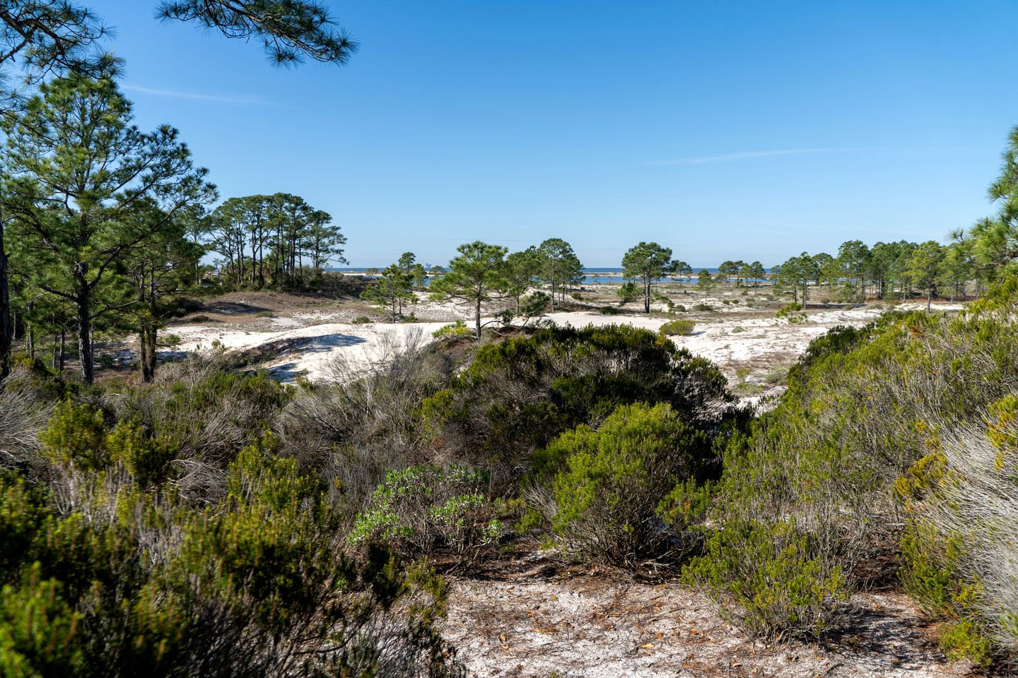 Stylish Coastal Retreat with Luxury Amenities near the Beaches and Golf Course on Dauphin Island, Alabama