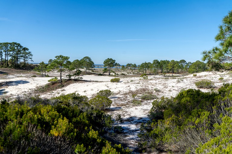 Floating Homes (United States of America, Dauphin Island, Alabama)