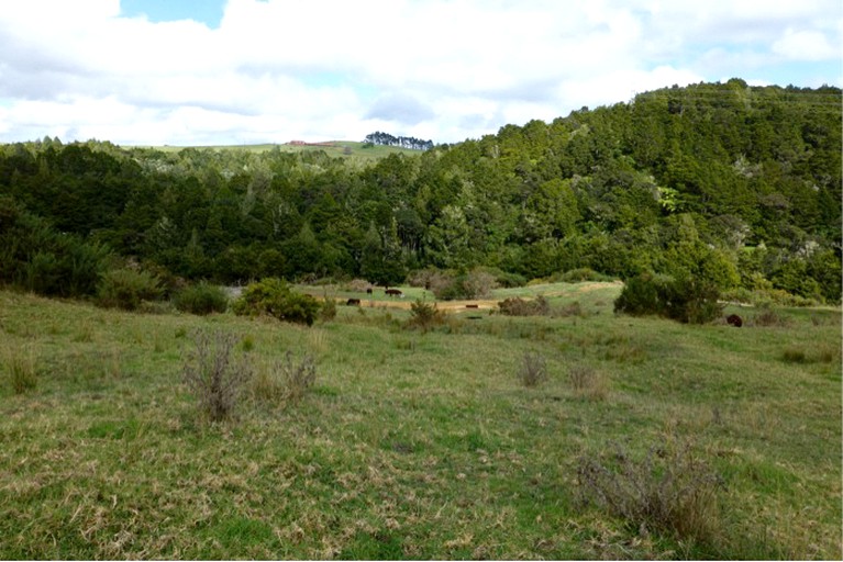 Nature Lodges (Kaiwaka, North Island, New Zealand)