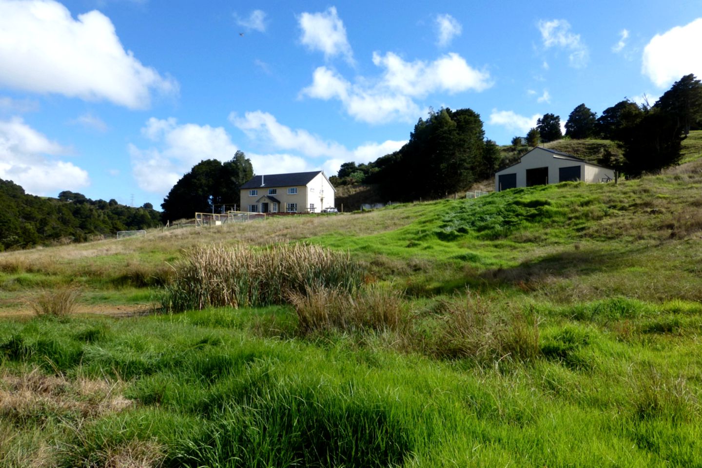 Lovely Room Rental on Secluded Farm near Kaiwaka, New Zealand