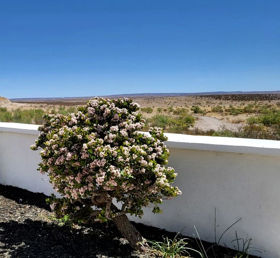 Vacation Rentals (United States of America, Marfa, Texas)