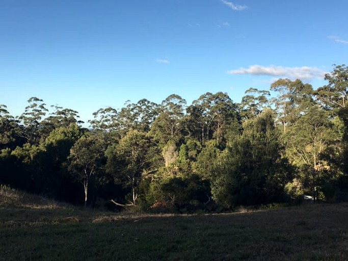 Tiny Houses (Australia, Maleny, Queensland)