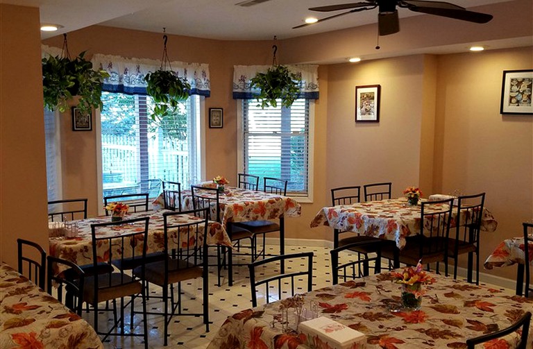 Nature Lodges (Berkeley Springs , West Virginia, United States)