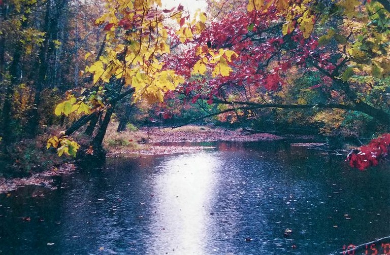 Nature Lodges (Berkeley Springs , West Virginia, United States)