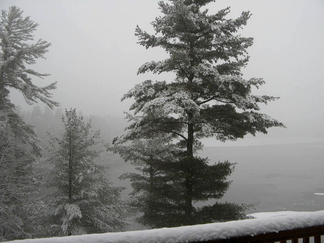 Superb Cliffside Cottage Rental near Severn Falls in Ontario