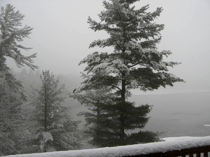 Vacation Rentals (Coldwater, Ontario, Canada)