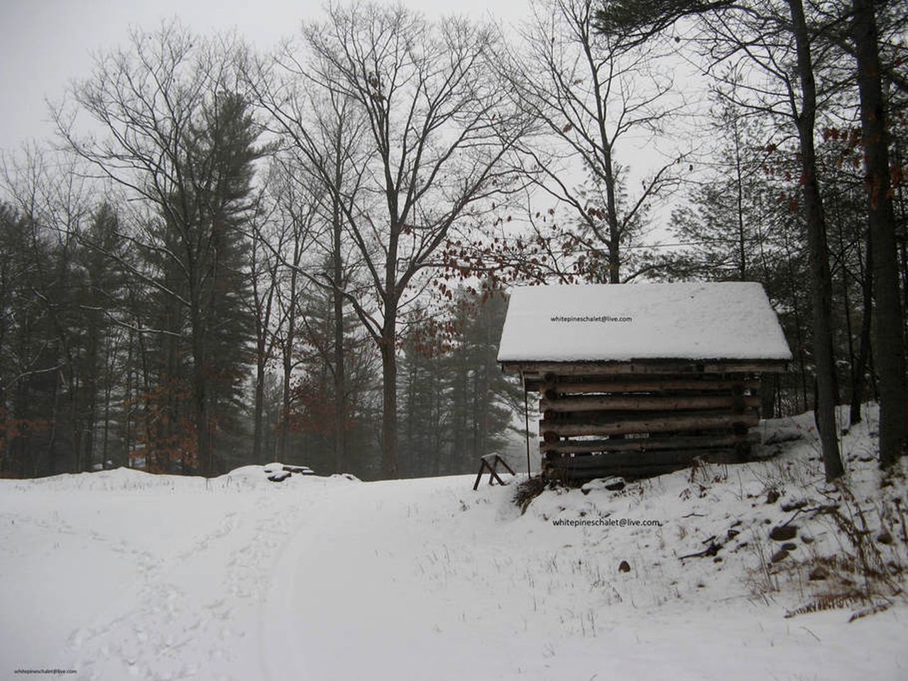 Superb Cliffside Cottage Rental near Severn Falls in Ontario