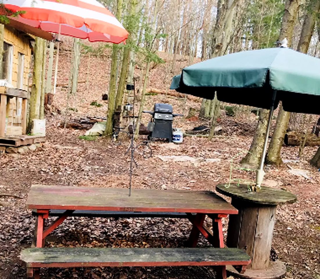 Charming Cabin Rental for a Relaxing Getaway in White Sulphur Springs, New York