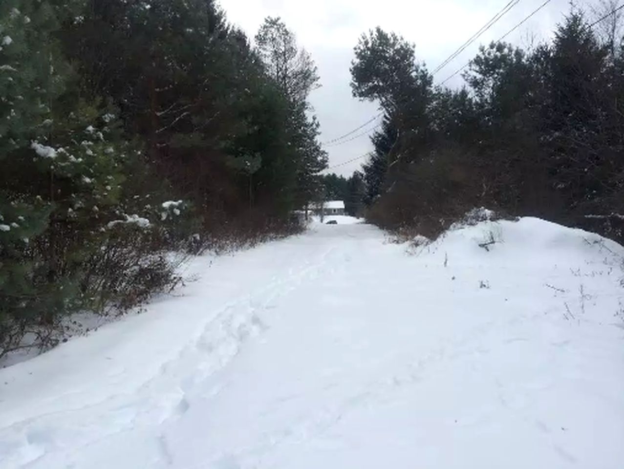 Charming Cabin Rental for a Relaxing Getaway in White Sulphur Springs, New York