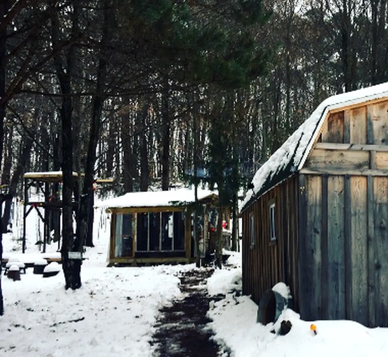 Cabins (Livingston Manor, New York, United States)