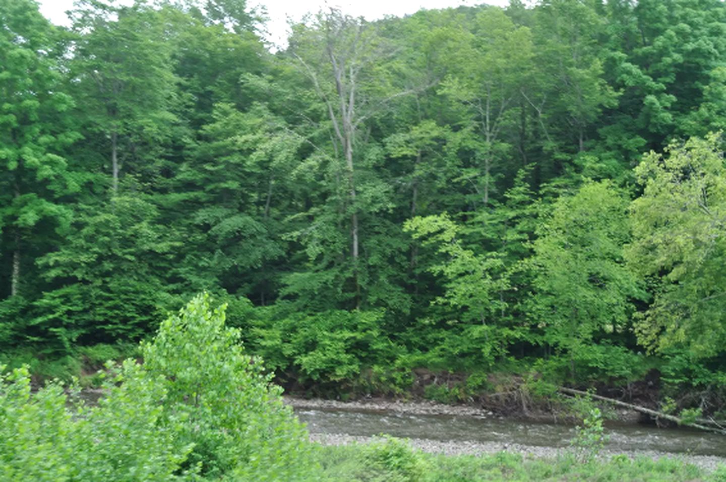 Charming Cabin Rental for a Relaxing Getaway in White Sulphur Springs, New York