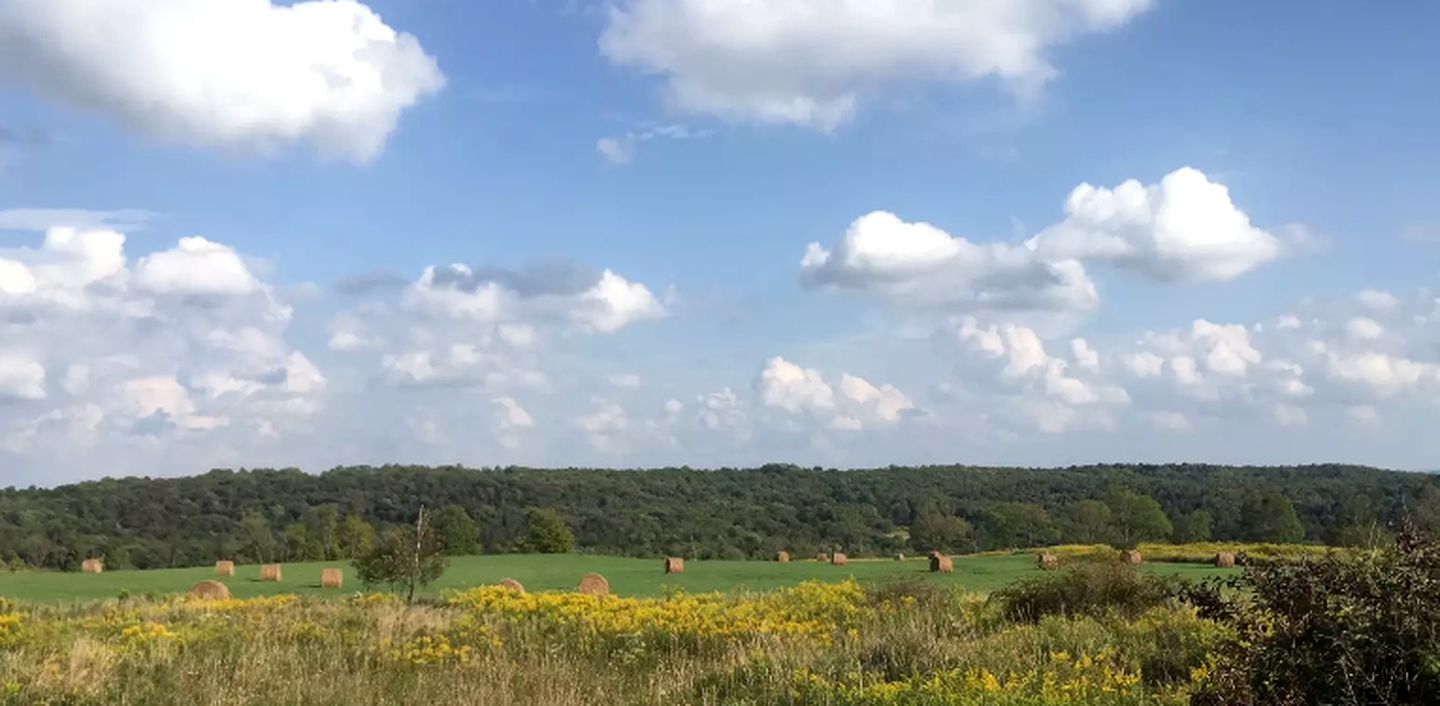 Charming Cabin Rental for a Relaxing Getaway in White Sulphur Springs, New York