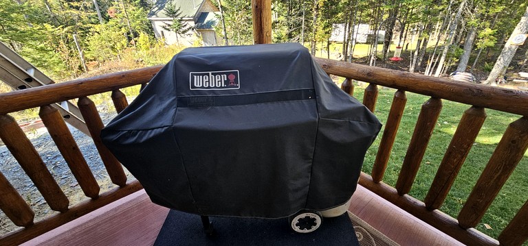 Cabins (United States of America, Greenville, Maine)